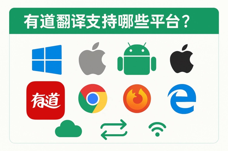 如何在有道翻译中切换语言设置?